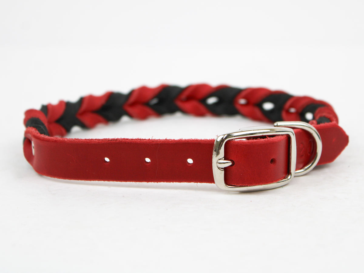 Braided Leather Collars - Latigo– Pro-Mohs Canine Supply