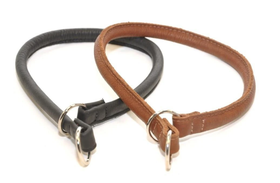 Leather slip collar store dog