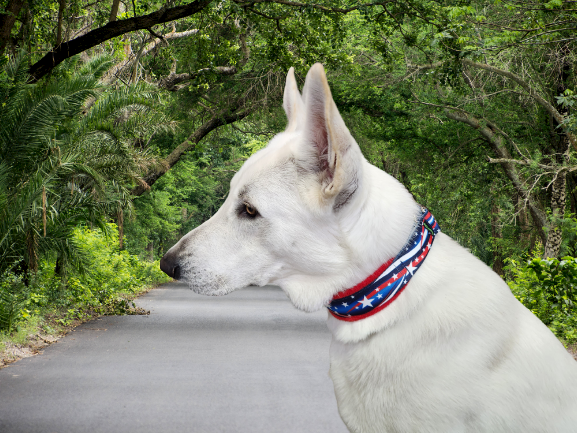 FuzzyWumpets Large 16 20