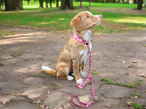 Fleece lined martingale collar hot sale