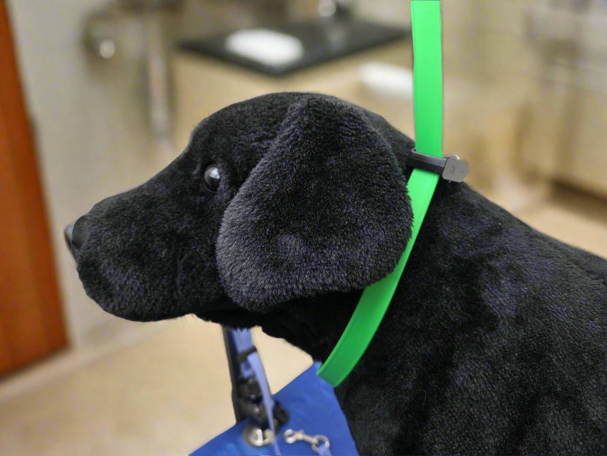 Biothane Locking Grooming Loop– Pro-Mohs Canine Supply