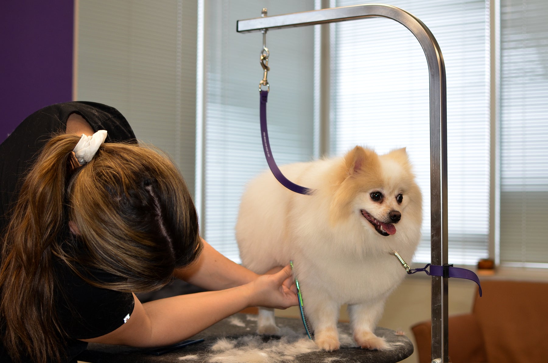 Grooming Tether BioThane Grooming Safety Tether– Pro-Mohs Canine Supply
