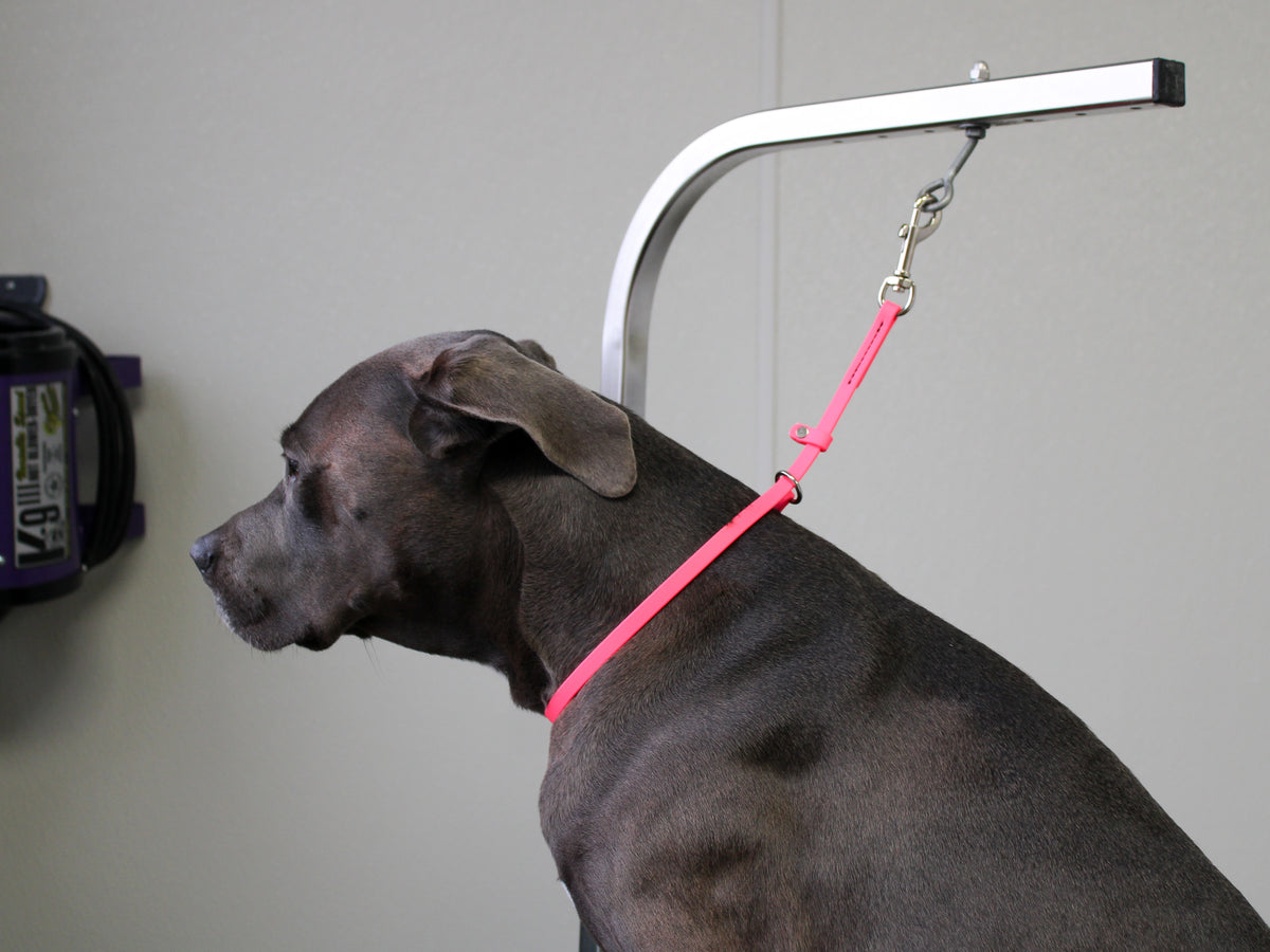 BioThane Slip Grooming Loop– Pro-Mohs Canine Supply