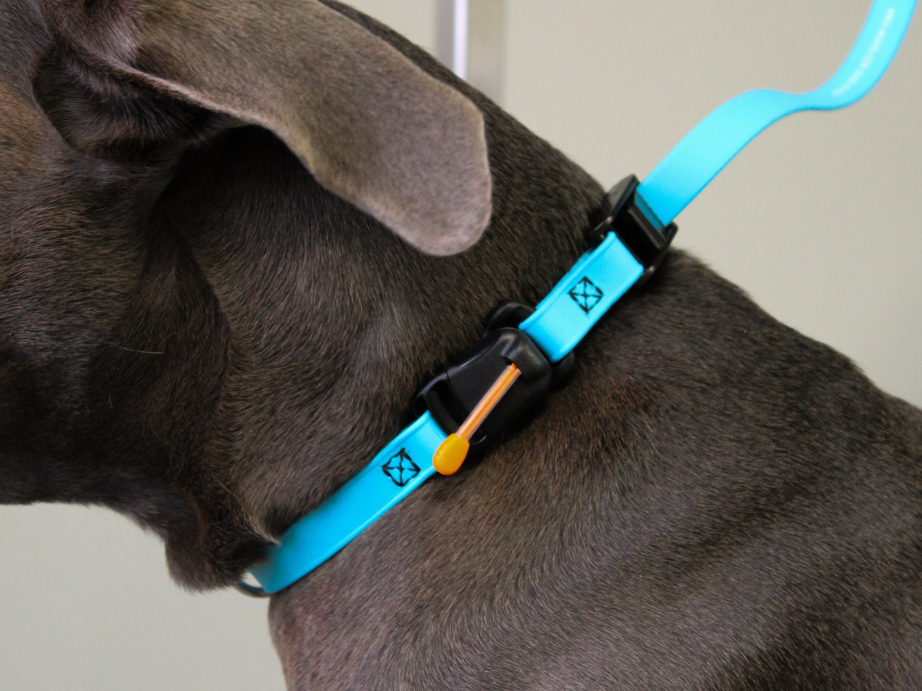 Biothane Loop Biothane Locking Grooming Loop with Magnetic Safety Release– Pro-Mohs ...