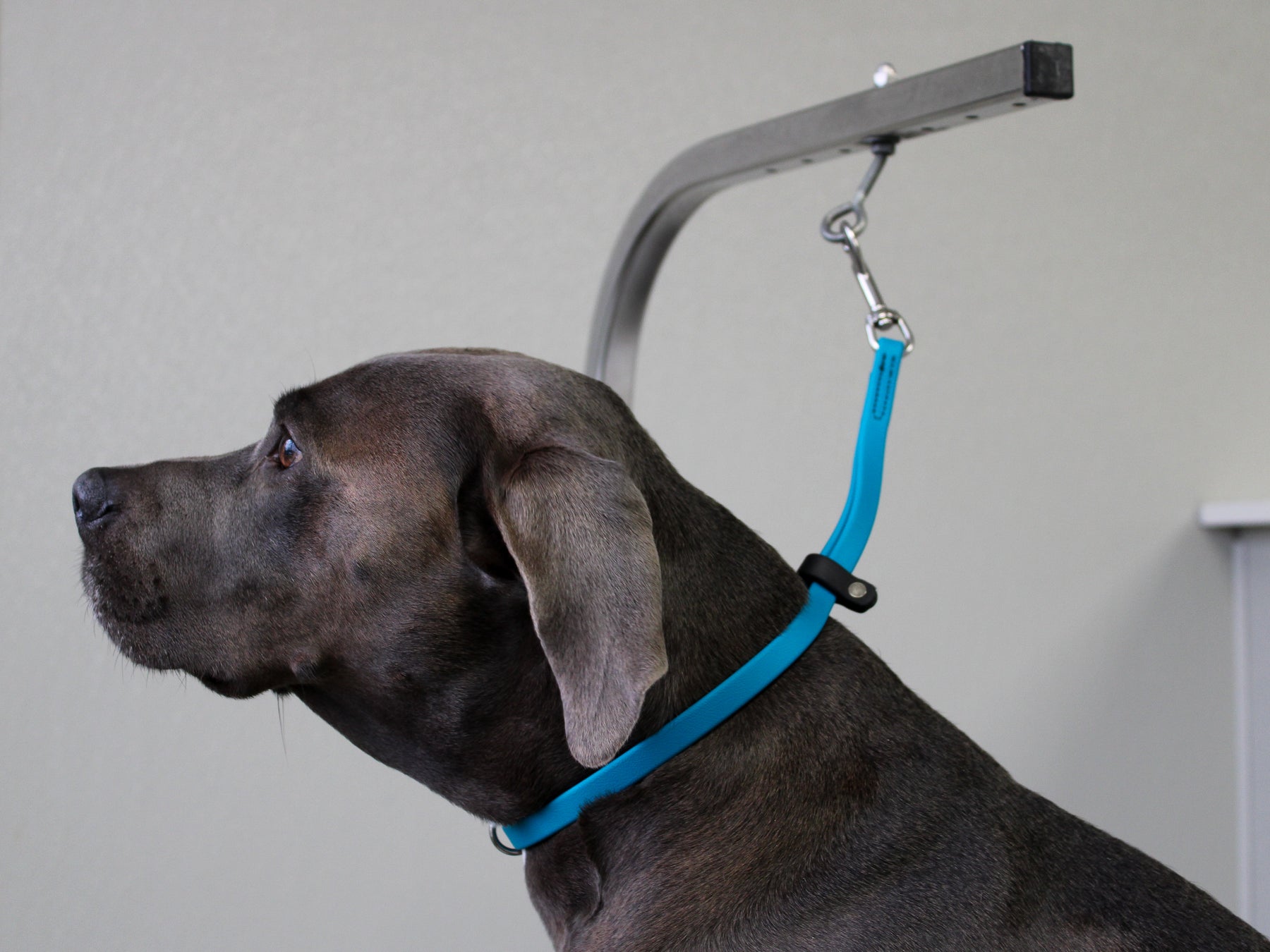 Biothane Loop BioThane Elite Grooming Loops– Pro-Mohs Canine Supply