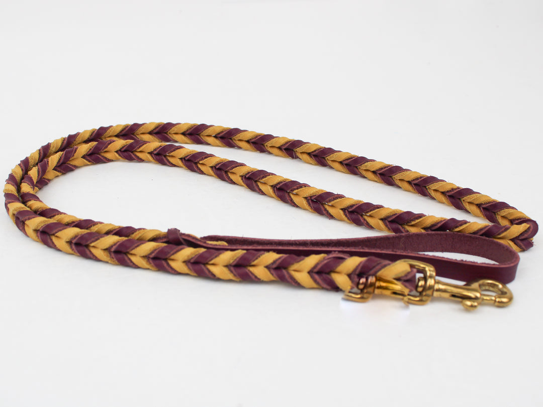 Braided Leather Leash– Pro-Mohs Canine Supply