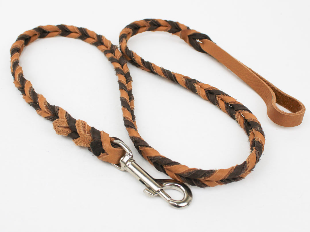 Braided Leather Leash– Pro-Mohs Canine Supply