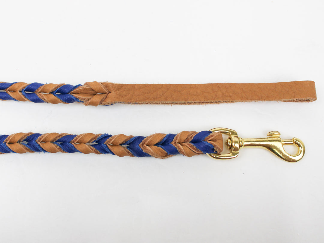 Braided Leather Leash– Pro-Mohs Canine Supply
