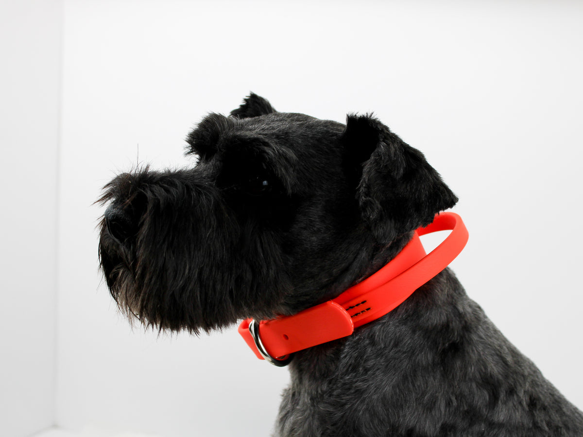 NEW! BioThane Collar with Handle– Pro-Mohs Canine Supply