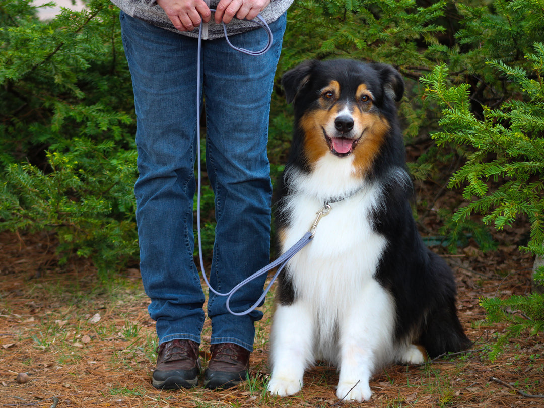 BioThane Dual Handle Leash | Pro-Mohs Canine Supply