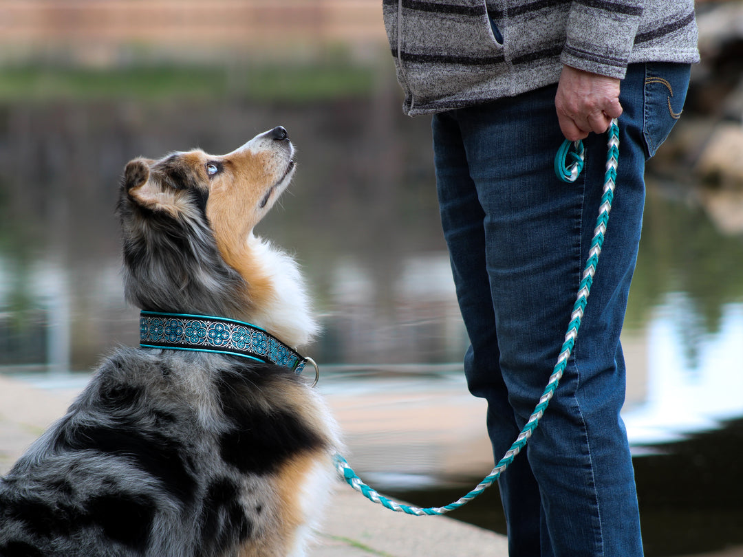 Braided Leather Leash - Metallic Leather Two Tone– Pro-Mohs Canine