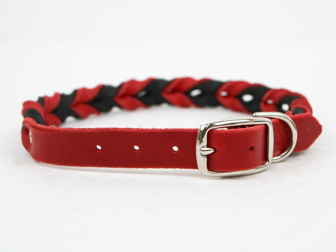 Braided Leather Collars - Latigo– Pro-Mohs Canine Supply