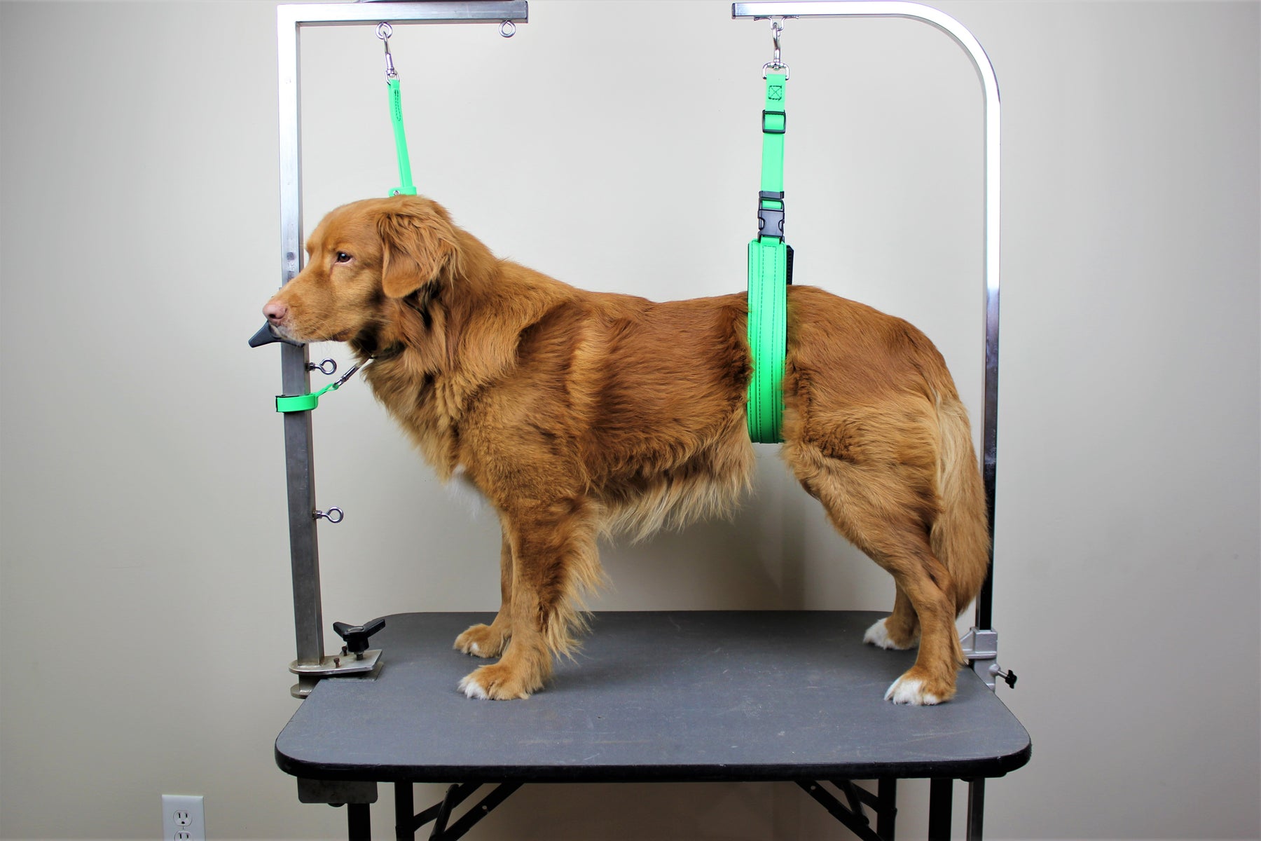 Biothane Loop BioThane Grooming Loops– Pro-Mohs Canine Supply