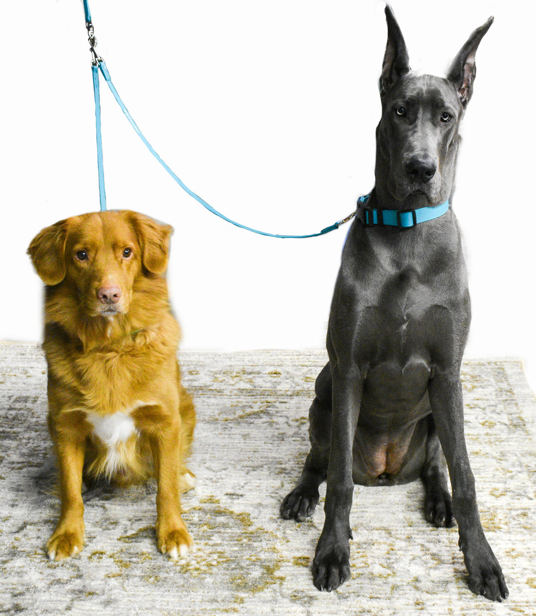 3 Ways Pet Dog Nylon Woven Coupler Leash Multiple Dog Walking Three