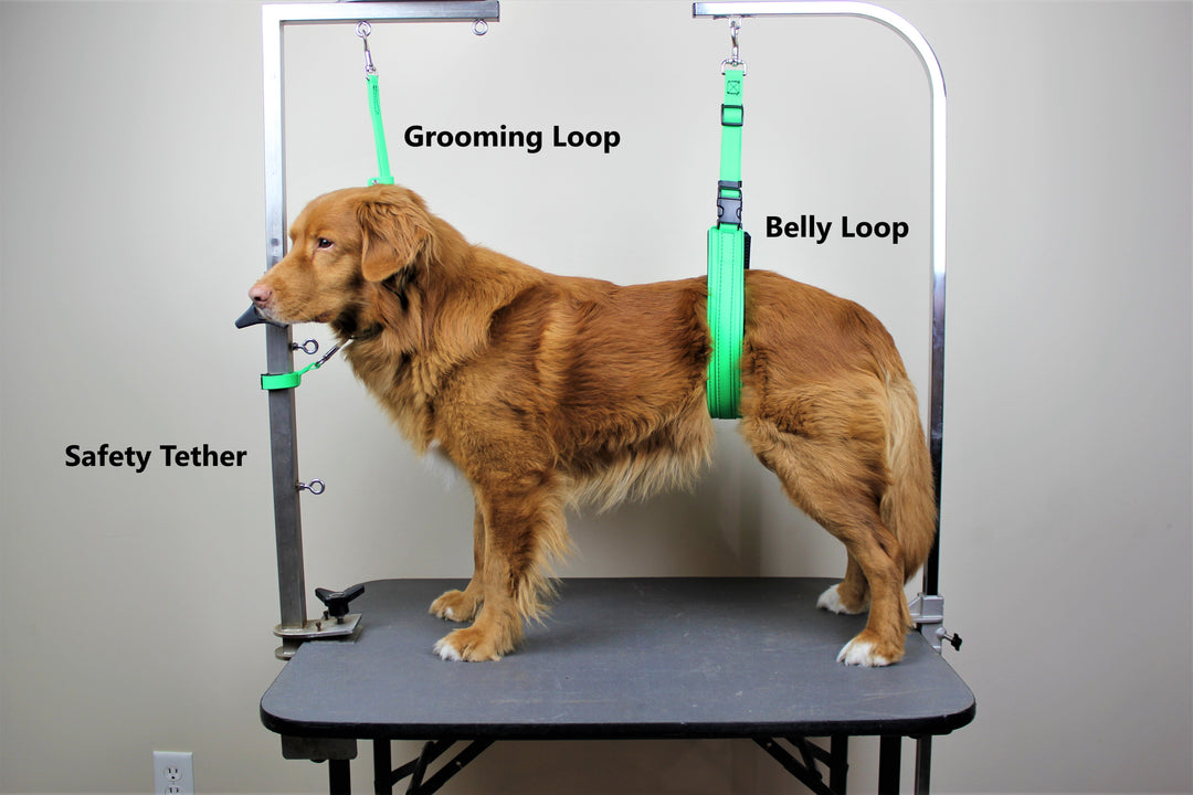 Dog grooming loop hotsell