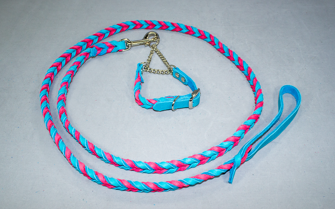 Mycicy 2 Pack 2FT Rope Dog Leash, Strong Nylon Short Dog
