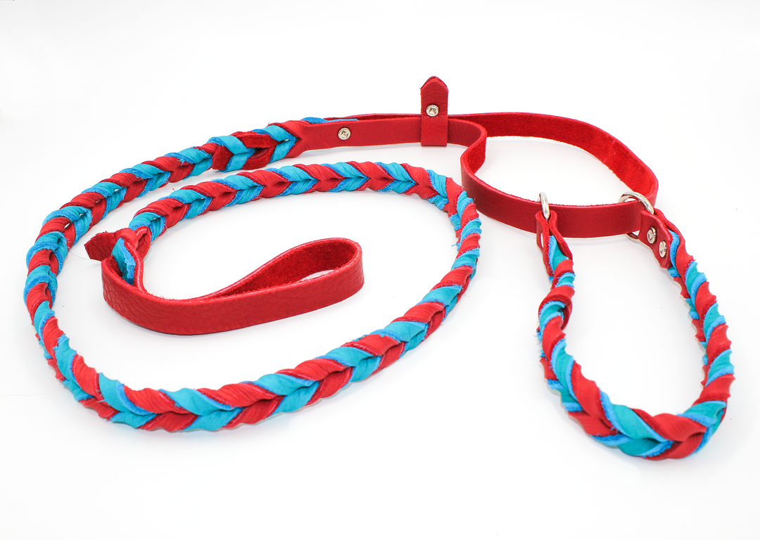 Dog agility leash best sale